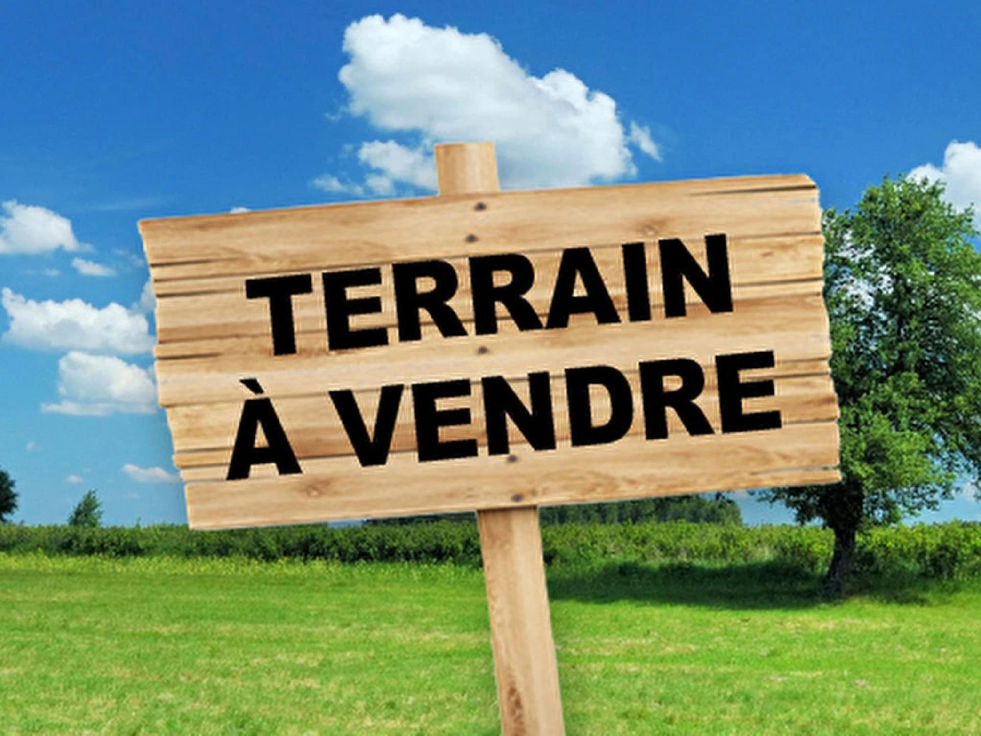 photo estate n°722541