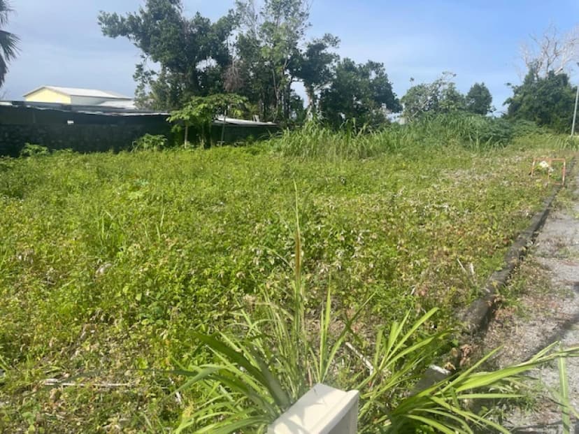 thumbnail of estate's photo